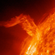 Image for article titled There's a 1-in-8 Chance of a Catastrophic Solar Megastorm by 2020